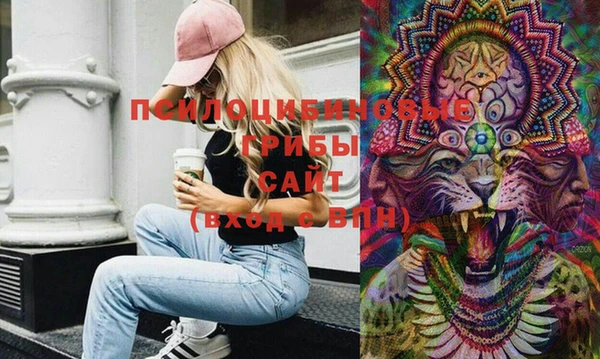 гашиш Абаза