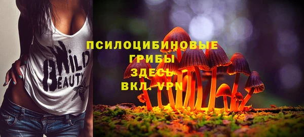 ГАЛЛЮЦИНОГЕННЫЕ ГРИБЫ Дмитров