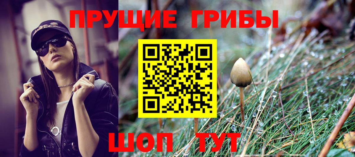купить закладку  Галлюциногенные грибы ЛСД  Вход с VPN  Изобильный 