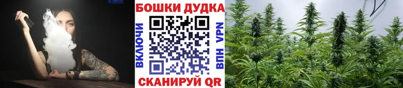 блэк спрут tor Изобильный Бошки марихуана тримм